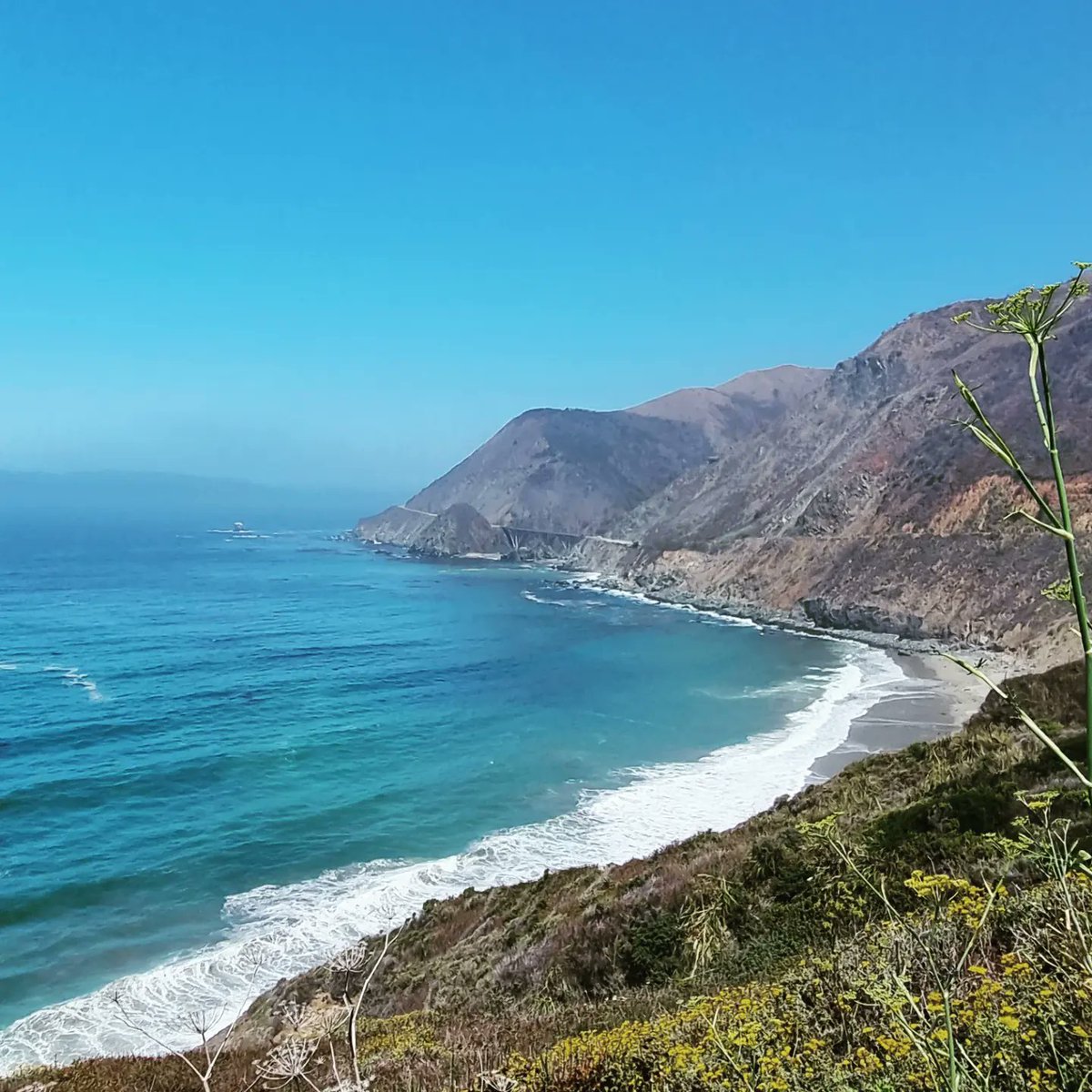 Eoin Price tweet media