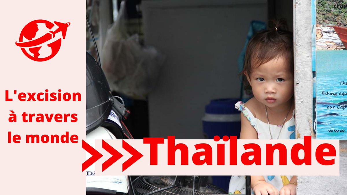 Les Orchidées Rouges tweet media