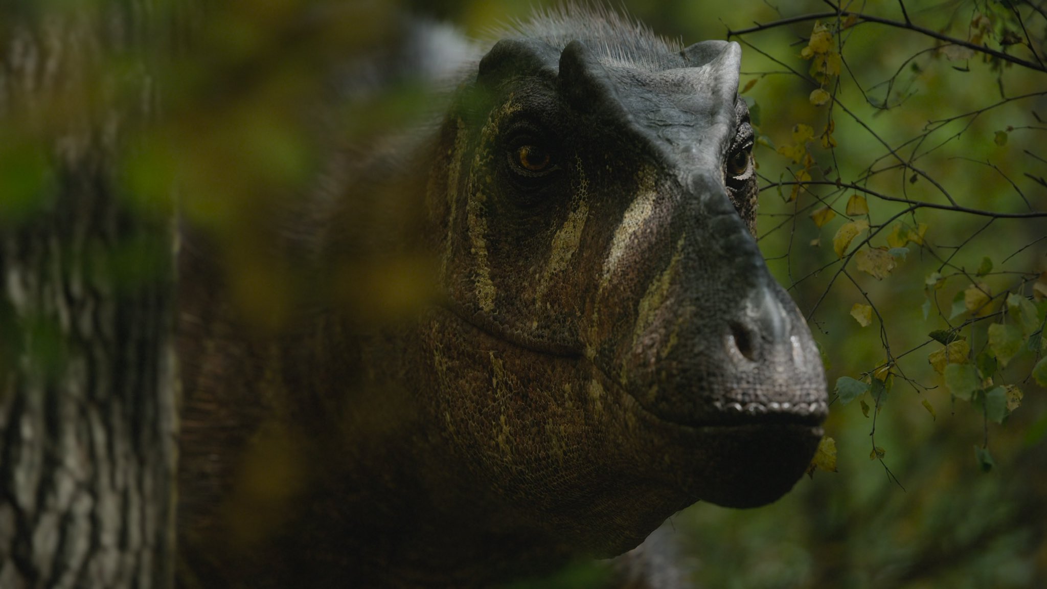Google drive walking with dinosaurs 2025