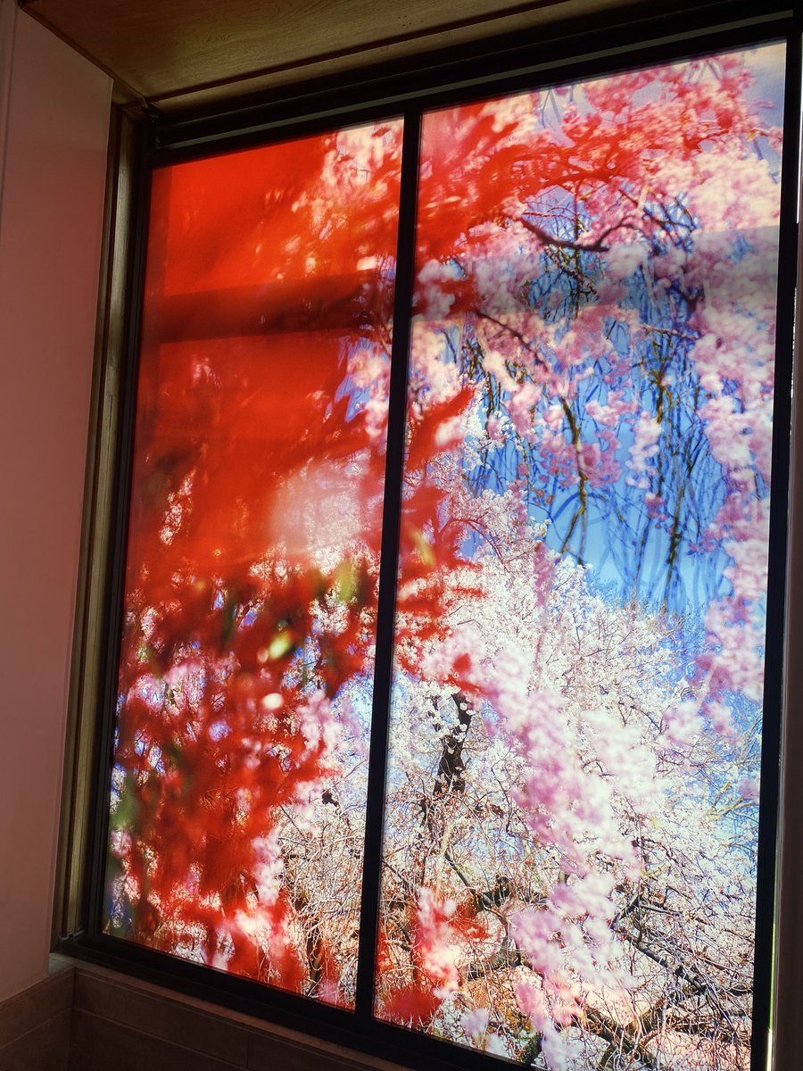 庭園美術館に行ってきました！
#庭園美術館 #蜷川実花 ＃東京都庭園美術館