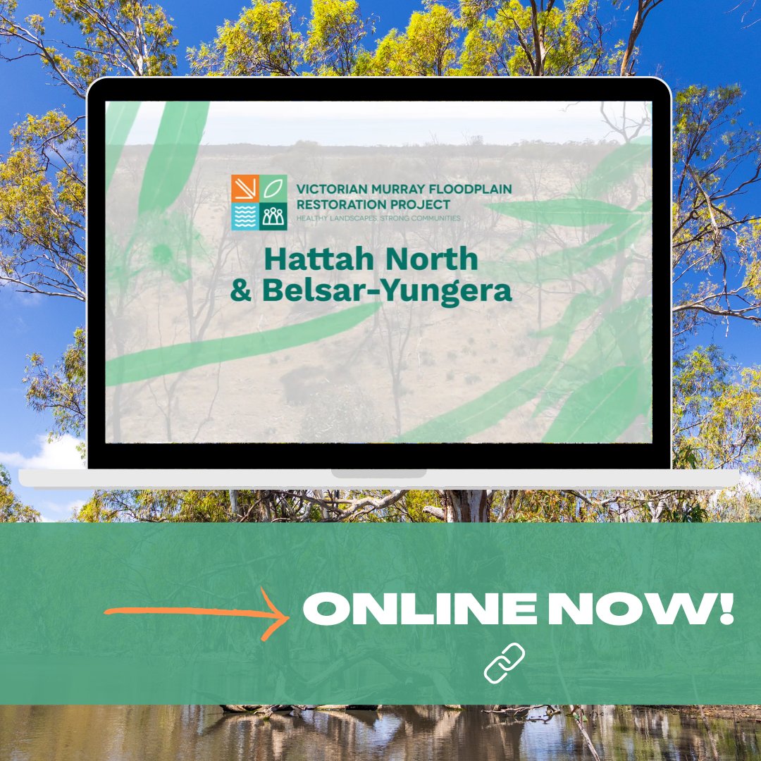 VMFRP (Vic Murray Floodplain Restoration Project) tweet media