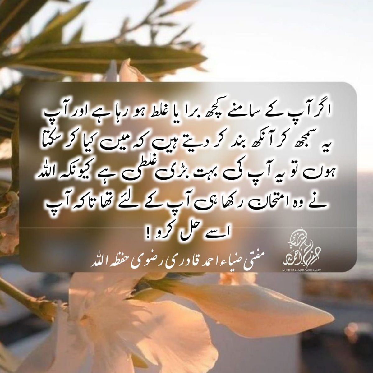 iqra_noore_wahi's tweet photo. https://t.co/HOjhZYdf5v