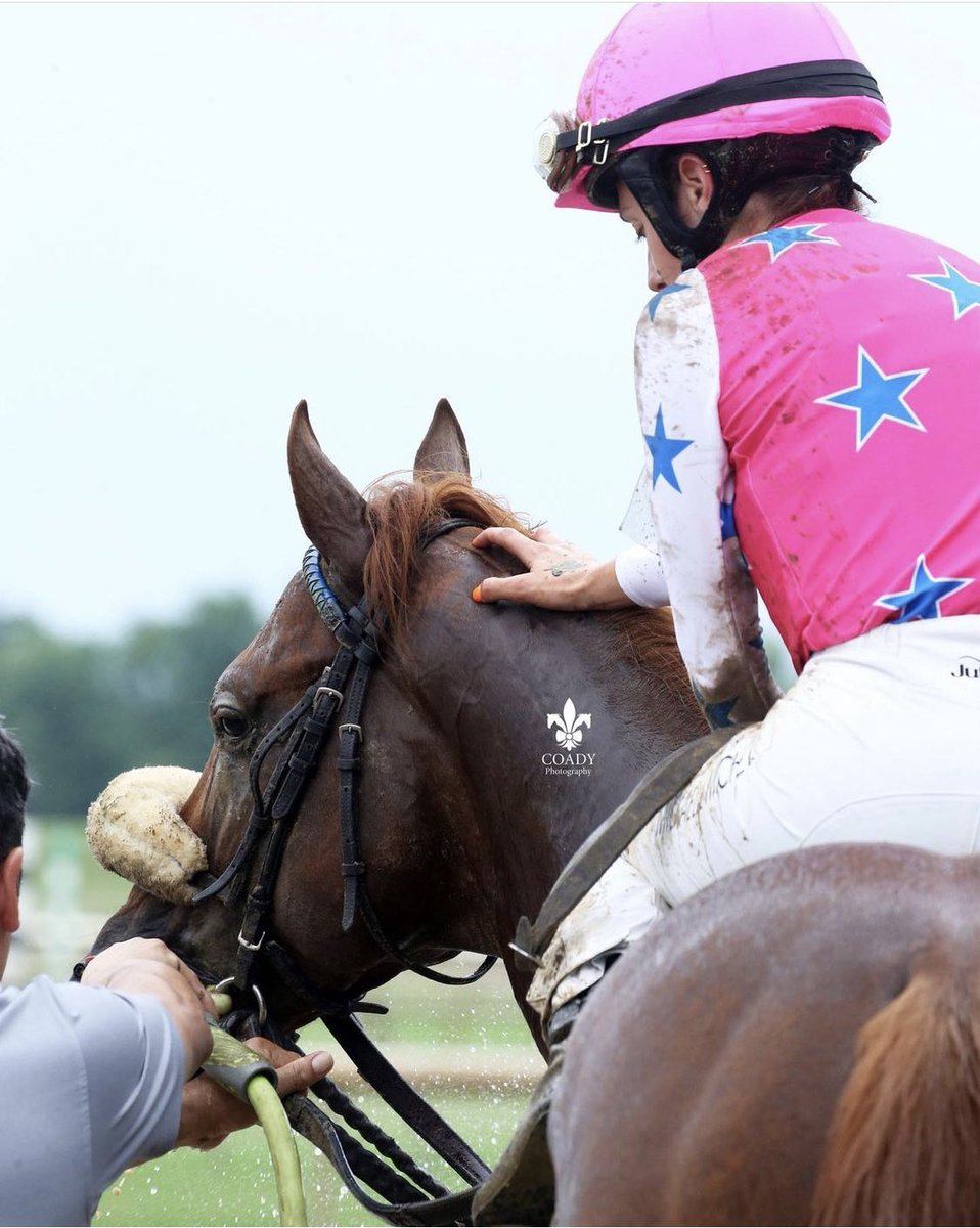 MickaelleMichel's tweet image. Thank you so much to @colebrookstable for my first US winner at @EllisParkRacing ‼️🇺🇸😍
And congratulations to my agent @Jane_Buchanan, who make a good job 💪🏼💪🏼