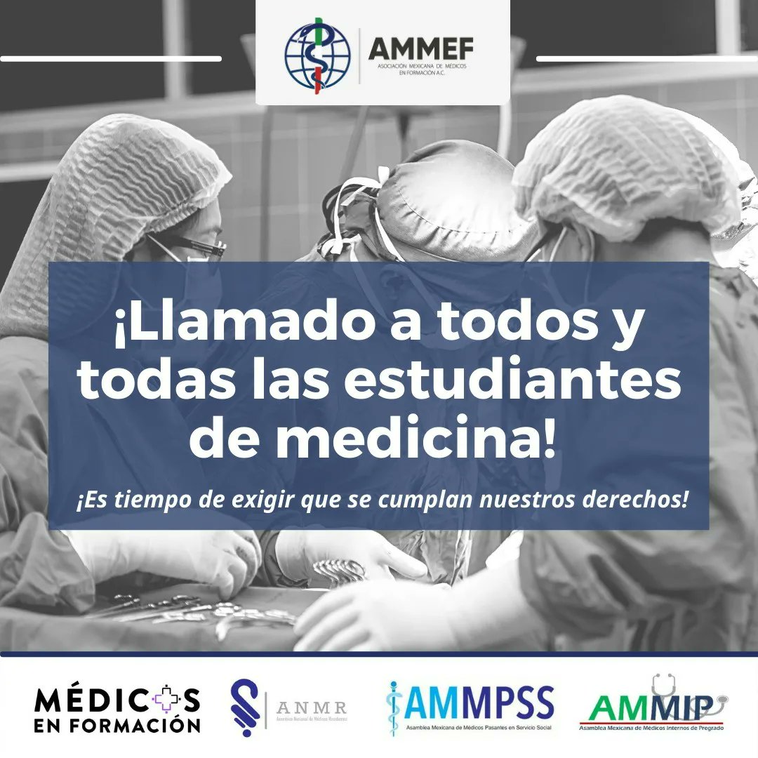 AMMEF - México tweet media