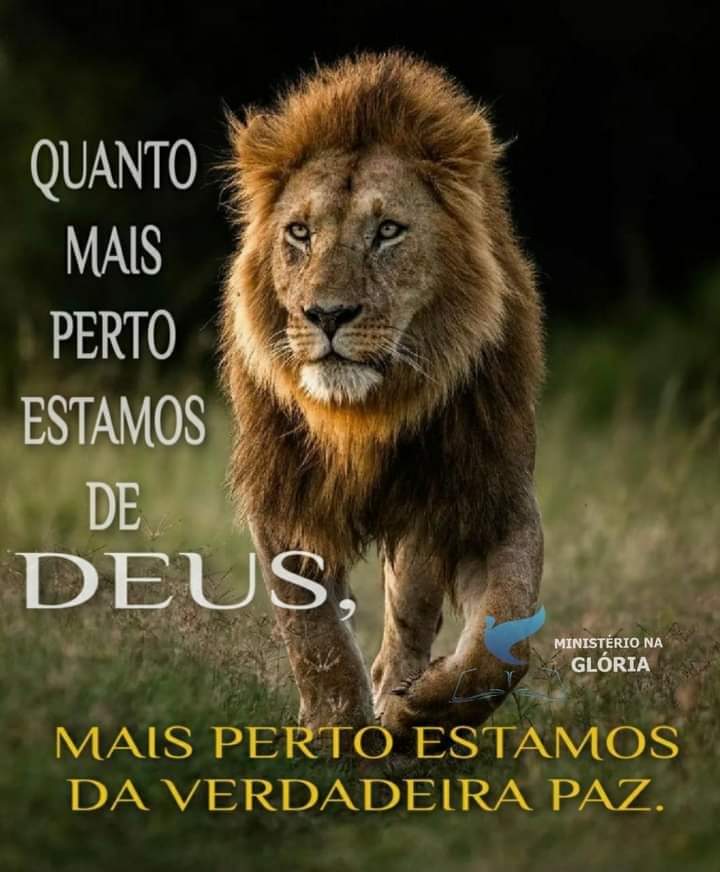 Cristo nossa verdadeira paz!