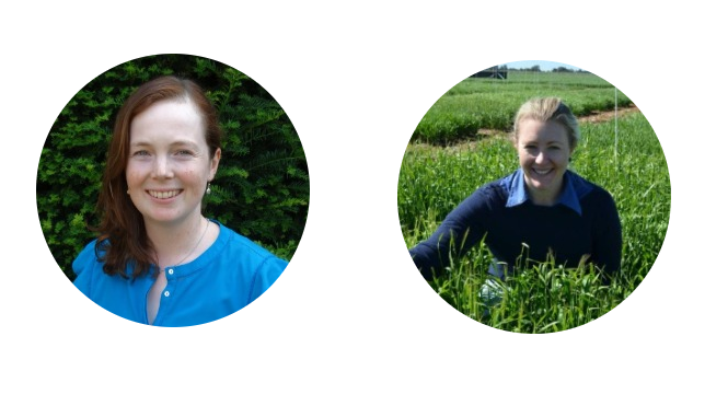 Excellent lineup of speakers at the Wheat Breeding Assembly! Register now to hear from these fantastic Women in Crop Science, Director of <a href="/CIMMYT/">CIMMYT</a> Global Wheat Dr Alison Bentley, and Senior Lecturer <a href="/CharlesSturtUni/">Charles Sturt University</a> Dr Felicity Harris #WBA2022 #GlobalWiCS 
eventstudio.eventsair.com/wba-2022/