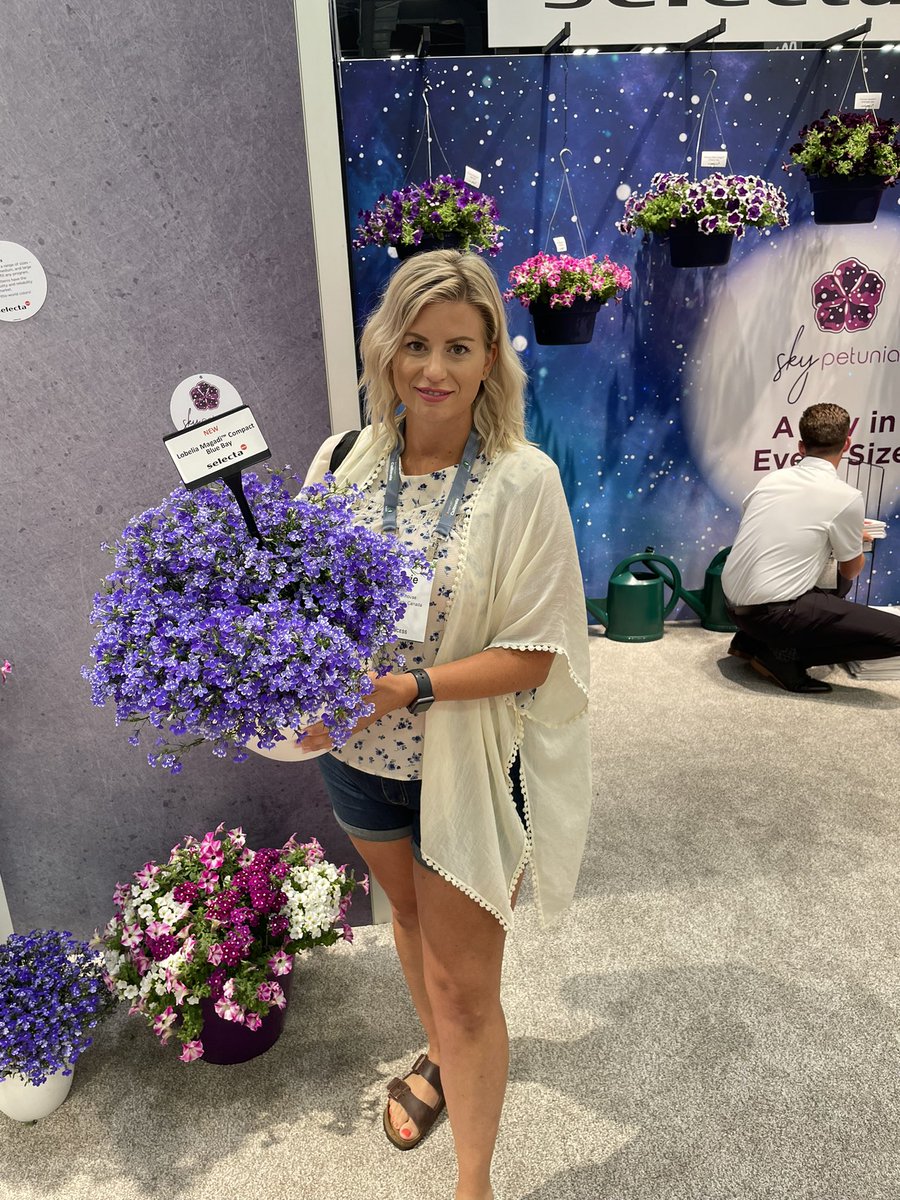 Tanya Carvalho tweet media