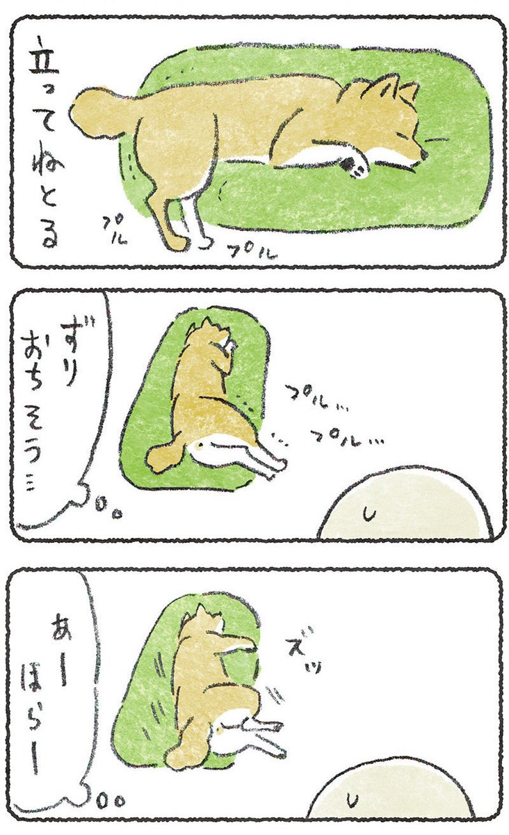 いらん世話とは思いつつ・・・

#豆しばこつぶ 