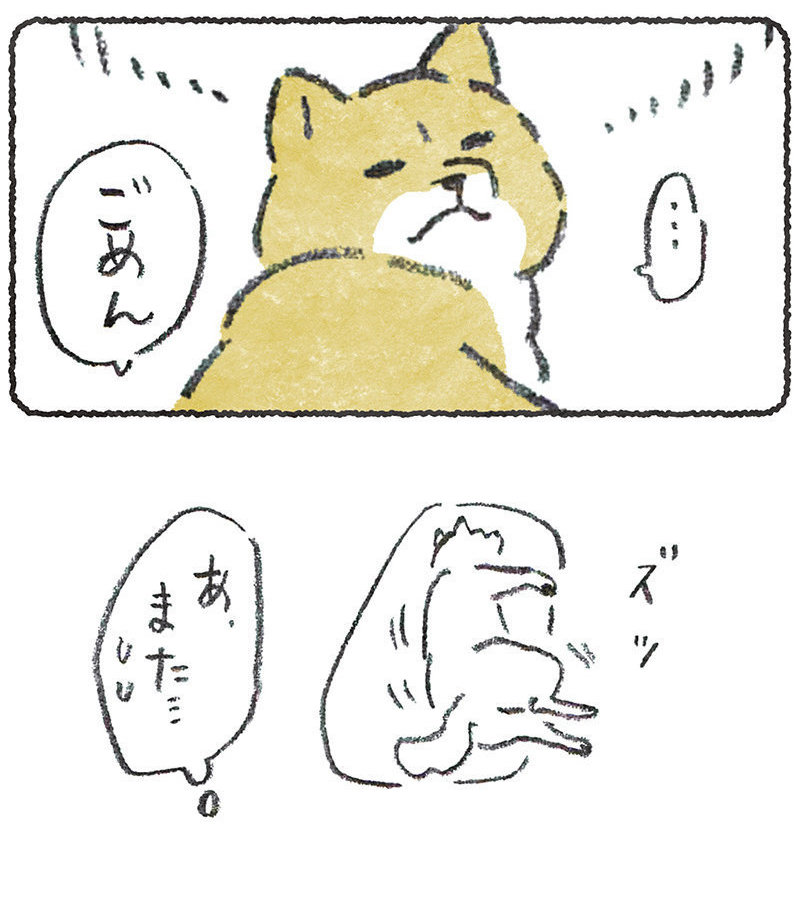 いらん世話とは思いつつ・・・

#豆しばこつぶ 