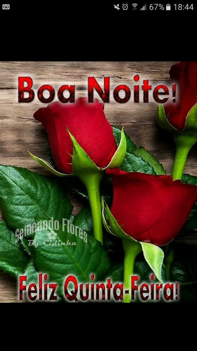 AgilgarA's tweet photo. @Carolvip7 https://t.co/2mkNKQqTTR