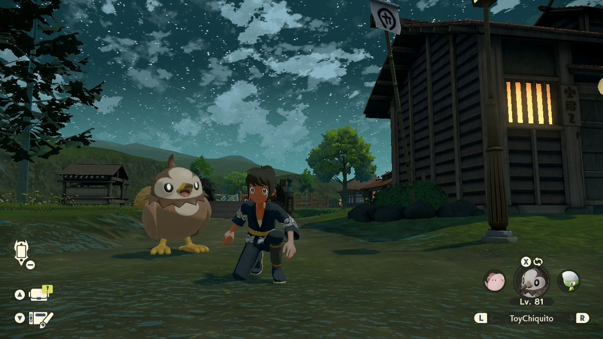 ErickOM03's tweet photo. 🐦
#PokemonGOCommunityDay #StarlyCommunityDay #ToyChiquito https://t.co/iTL7WMRKMA