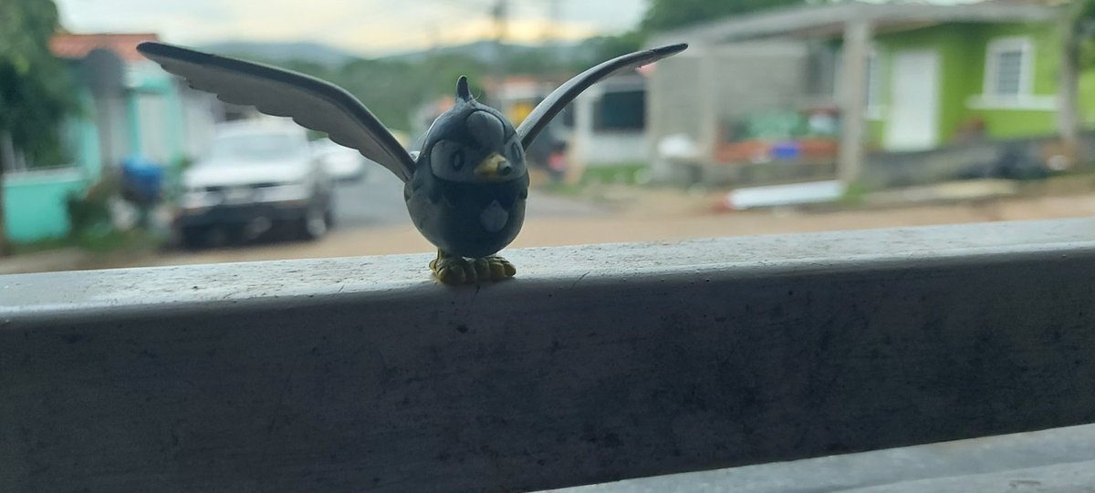 ErickOM03's tweet photo. 🐦
#PokemonGOCommunityDay #StarlyCommunityDay #ToyChiquito https://t.co/iTL7WMRKMA
