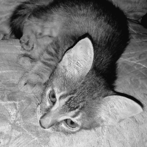 venicebitcx's tweet photo. vou sentir saudades filho 🖤 https://t.co/b6hYcU4y7P