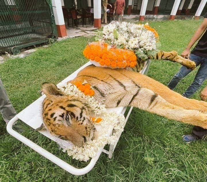 JokeCasm's tweet image. This #Punjab #ByElections2022 has broken so many big #egoistic fake tall sighter shadows.

#PTI defeated the most powerful, invisible and organized party in #Pakistan 😎

That's quite an achievement.

#پنجاب_تحریک_انصاف_کا
#ٹکرکےلوگ
#Bajwa #Establishment #Pindi #Boys #MaryamNawaz