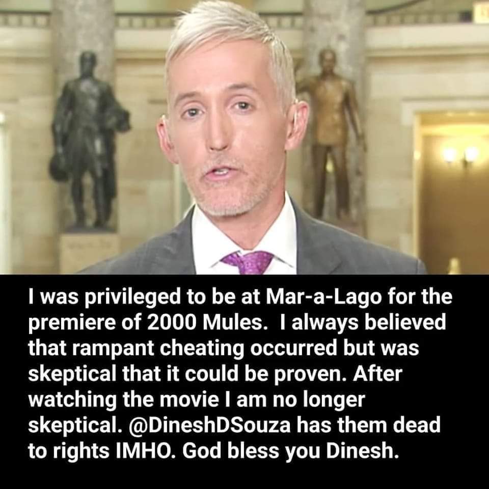 Chicago1Ray's tweet photo. Do you believe the movie (2K) mules to be an accurate depiction of how the election was stolen.. bc i sure the fuck do, and so does Trey Gowdy https://t.co/eGKBOWNwjU
