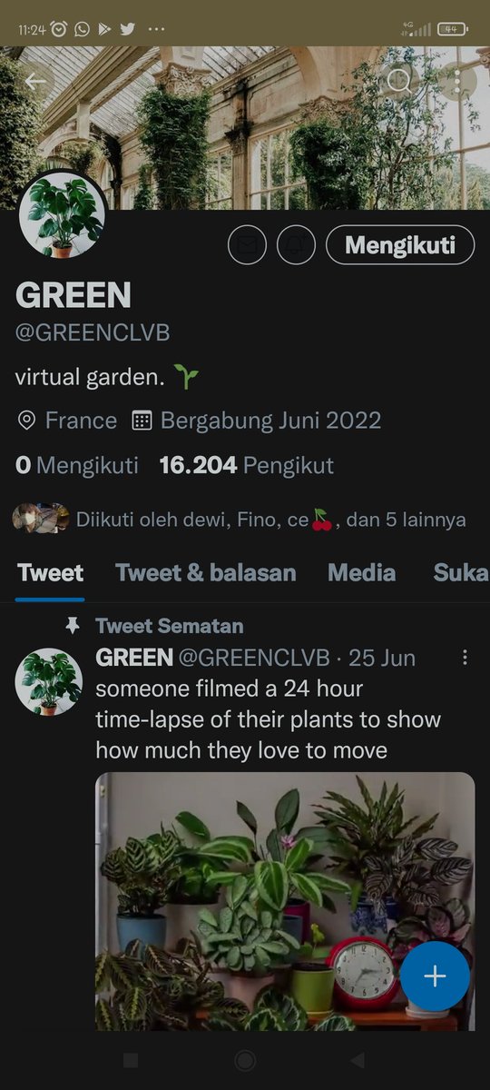 BELVA tweet media