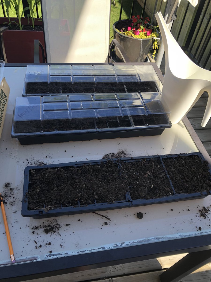 Fall harvest preparation has begun! Big things growing for Room 11 this upcoming school year! #cantstopwontstop #summerplanning #teacherlife