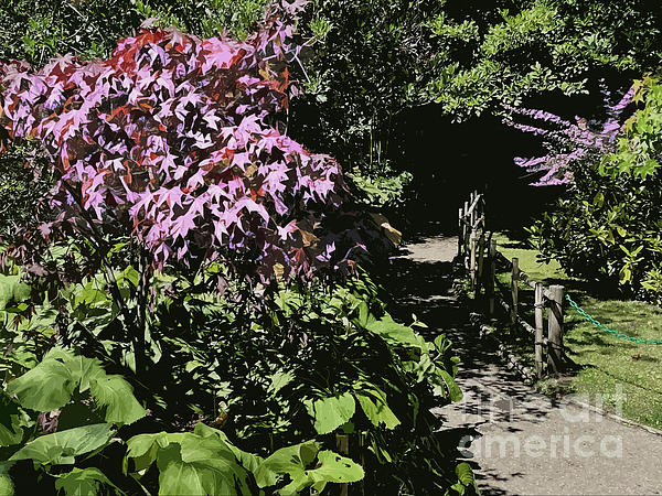 BIOblogger's tweet photo. New artwork for sale! - "Giverny Lily Pond Pathway" - https://t.co/dSXp4UPWs7 @shoppixels https://t.co/bmPPWXG0yx