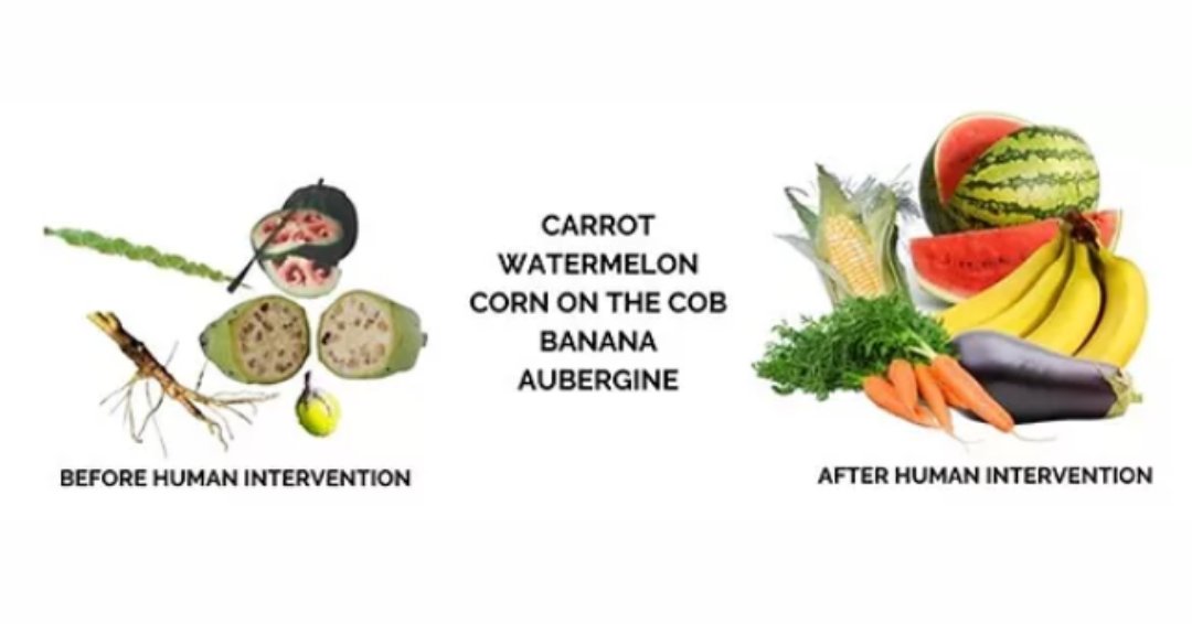 CropLife Pakistan tweet media