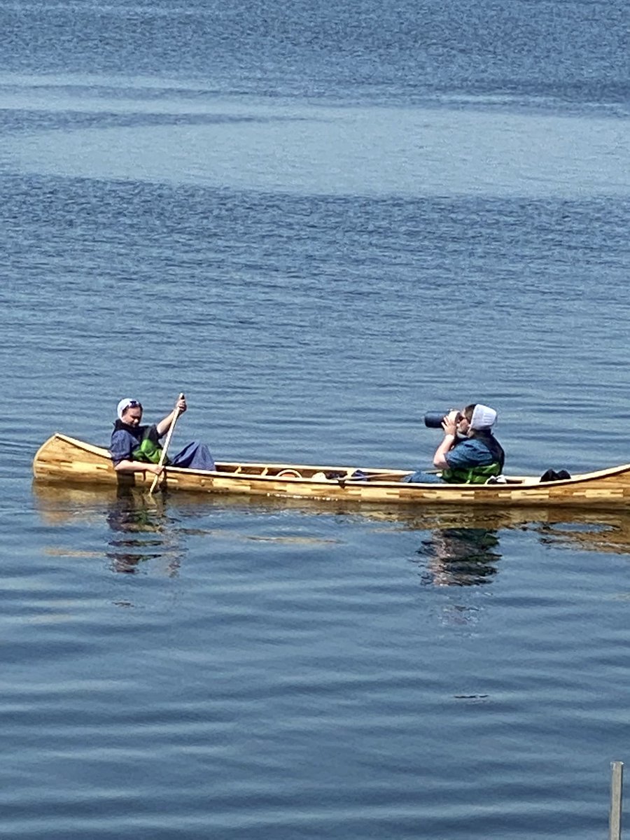 Marliese1's tweet photo. Woke up this morning, looked out the cottage window and saw these two ladies living their best life! And the canoe is gorgeous! #yougogirls #liveyourbestlife https://t.co/6Q28eyf00p