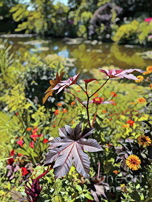 BIOblogger's tweet photo. New artwork for sale! - "Giverny Lily Ponds" - https://t.co/KSMmiLFLeP @shoppixels https://t.co/92oSixlZFr