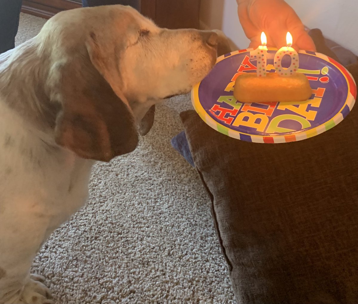 BrewskiSlug's tweet photo. Birthday celebration with the fam! https://t.co/bAzQPIFsvU