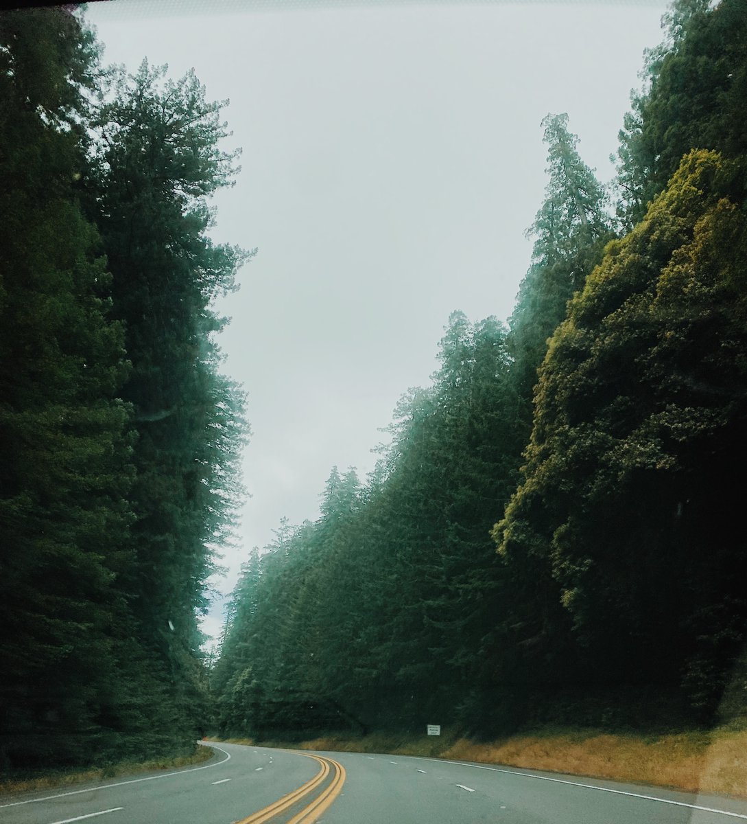Just wrapped up a sampling trip to Humboldt. Both the drive and sites were gorgeous!
