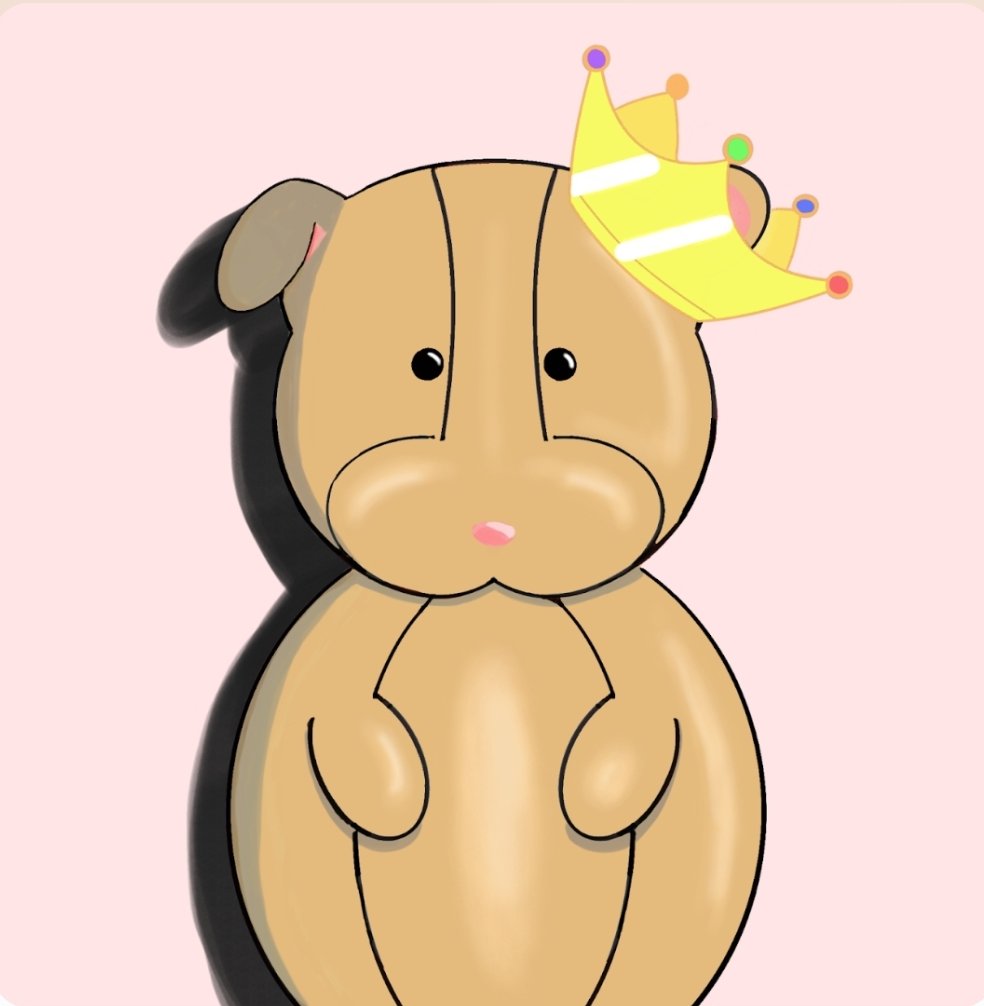 cryptopiggieland tweet media