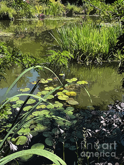 BIOblogger's tweet photo. New artwork for sale! - "Monet's Lily Ponds" - https://t.co/RaVsj5gCqF @shoppixels https://t.co/K6mcYJiVbw
