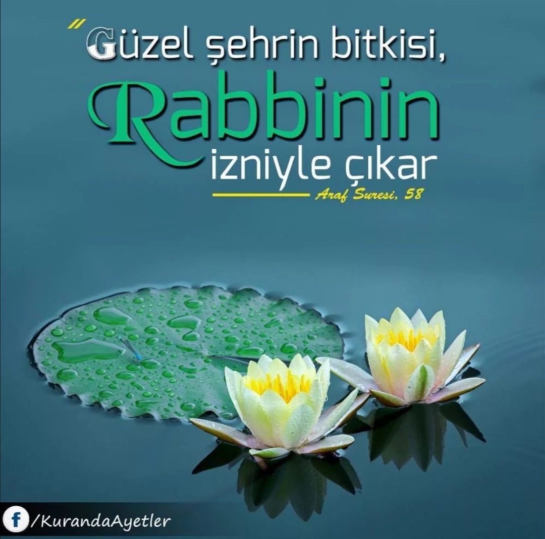_Ebru_Y's tweet photo. Rahman ve Rahim Olan Allah'ın Adıyla 
---
Sibel Can Hülle Hıncal Uluç Sörloth Lille Hull City Saat 4 https://t.co/5EBiDRnR8M
