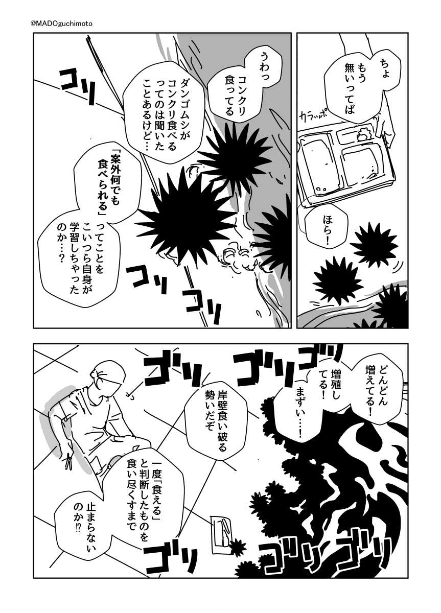 『ウニの惑星』 