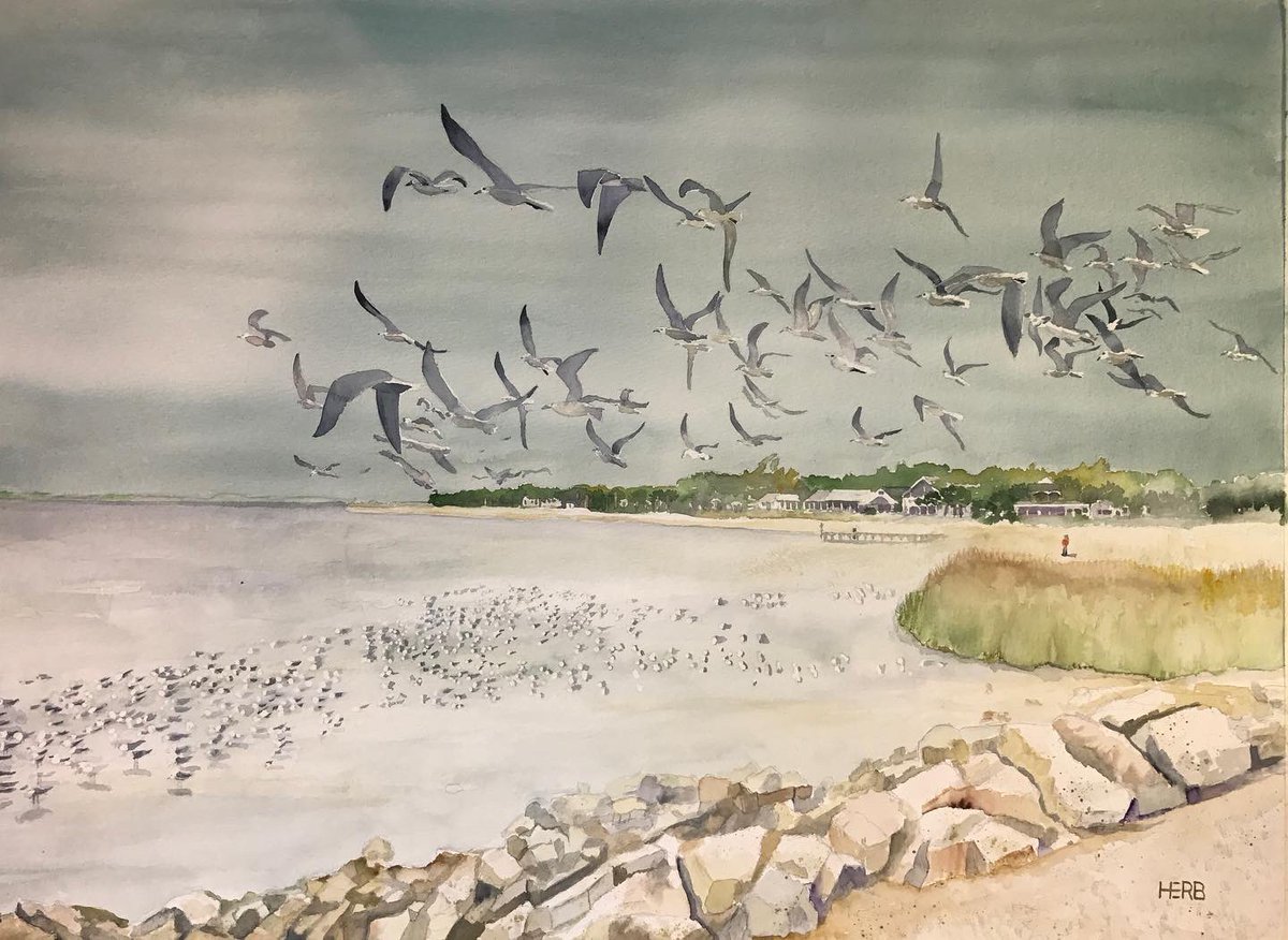 herbwilley's tweet photo. It’s Not About The Birds 20”x30”
Jenise’s Garden “10x13”
Transparentwatercolors by Herb Willey
#art #paintings #transparentwatercolors #herbwilley #prac #soloexhibition #mosspointfineartgallery
#itsnotaboutthebirds #jenisesgarden https://t.co/fap60D2MF5