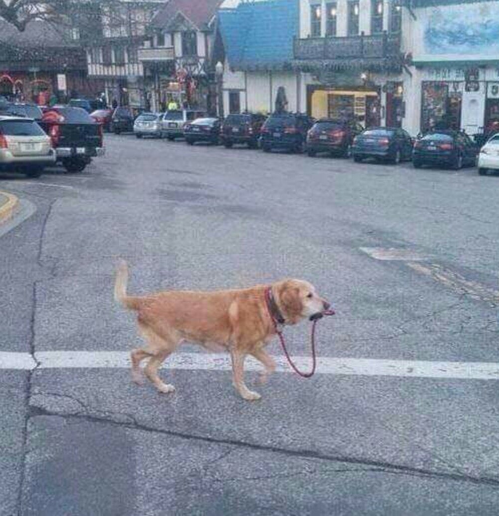 dinogodwhale's tweet photo. Me being my own therapist. https://t.co/n9wSBkiXKo
