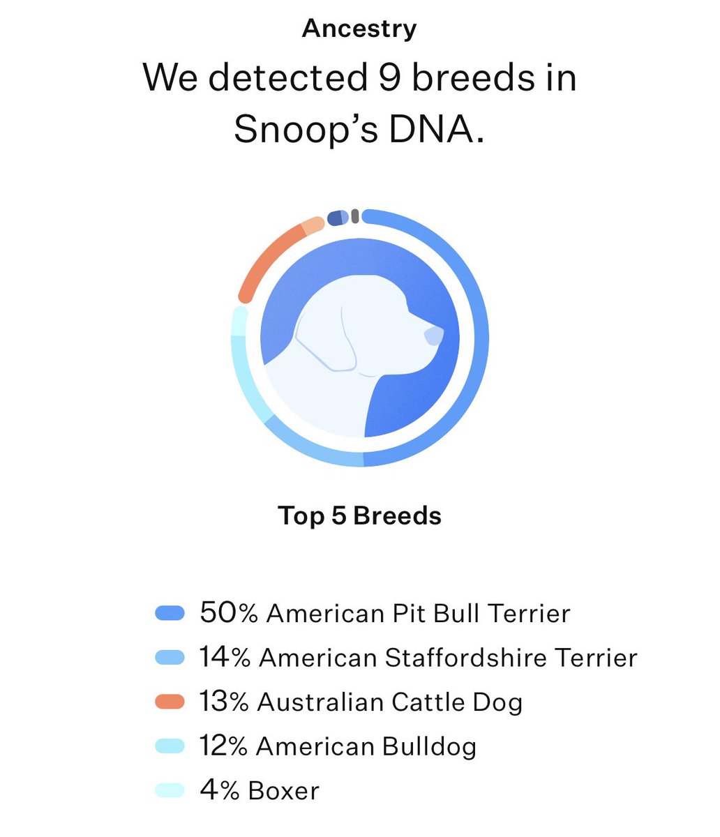 Rachel Ballinger tweet media