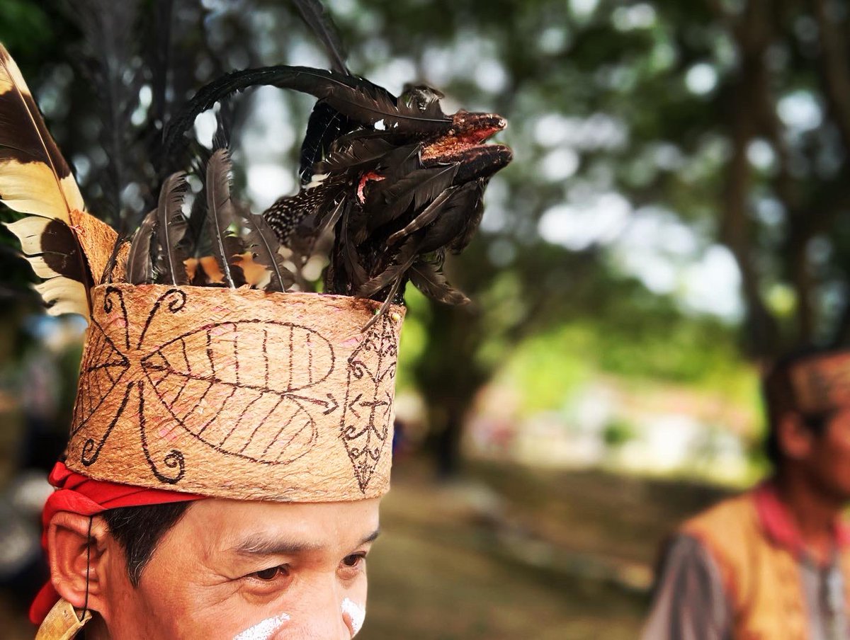 A deep immersion into a beautiful culture for our @Uni_Newcastle students. The remote Villages of #Borneo  have provided such warm greetings and celebration. I feel deeply privileged to share the journey. #universityofnewcastle