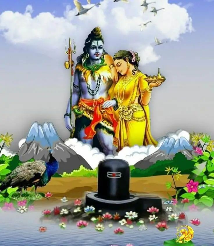 नारायण मौर्य मै हूं मोदी का परिवार (BJP BASTI) tweet media