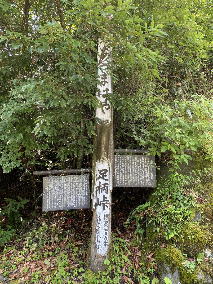 HaLs0803's tweet photo. 神奈川の県道78号(御殿場大井線)
足柄峠とその先にある誓いの丘。
富士山の手前に見える雲からかなりの雷鳴がw
そうそう、手前にあるうどん屋さんはカレーうどんが最高ー！
#足柄峠
#ツーリング
#400X
#カレーうどん https://t.co/355PcvoV68