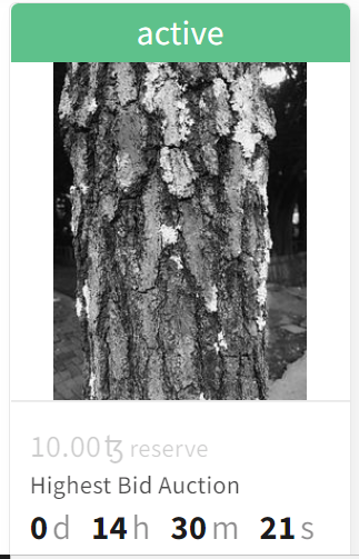 Dikabk's tweet photo. New Dropping and First mint With 
@objktcom
 
https://t.co/dqbIMQxK5F

"Pine Tree"
auction bid end in 14 hours 
support, appreciate Rt and Comment 

 #NFTCommunity #nftcollector #hicetnunc2000 #NFTCommunity #CleanNFT #Monochrome #PhotographyCommunity https://t.co/am3dWDiQw9