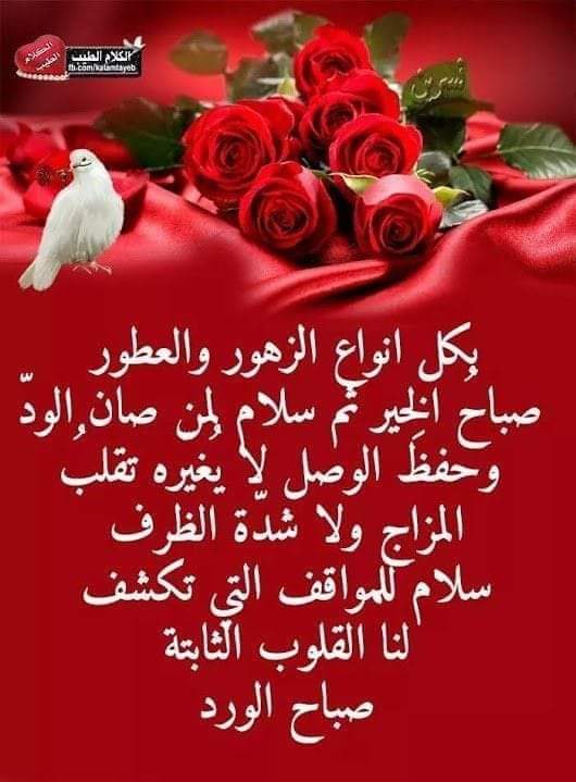 صباح الخير والسعادة للجميع