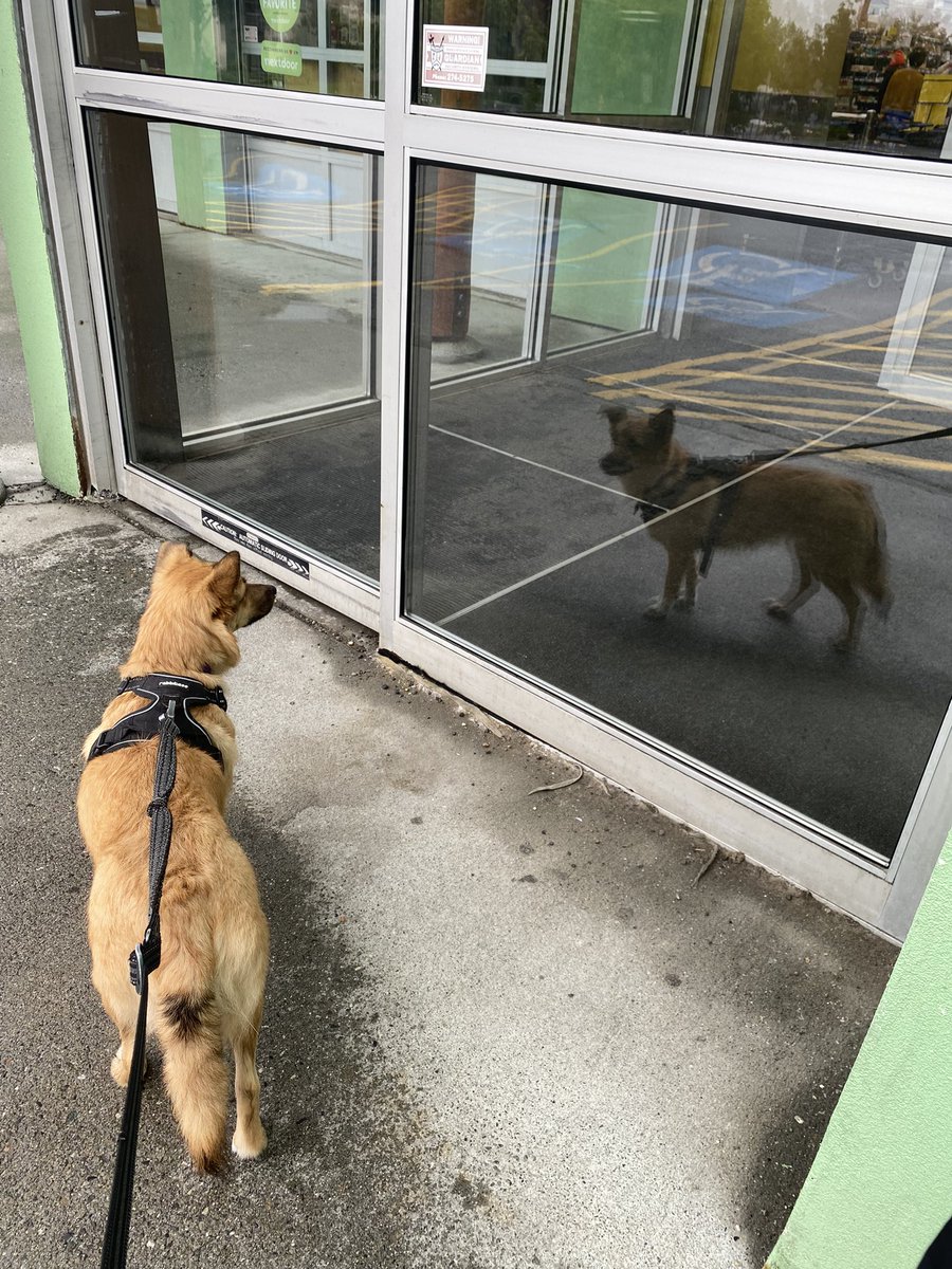 hamletTdog's tweet photo. Hello? https://t.co/XIQX4Bymt2