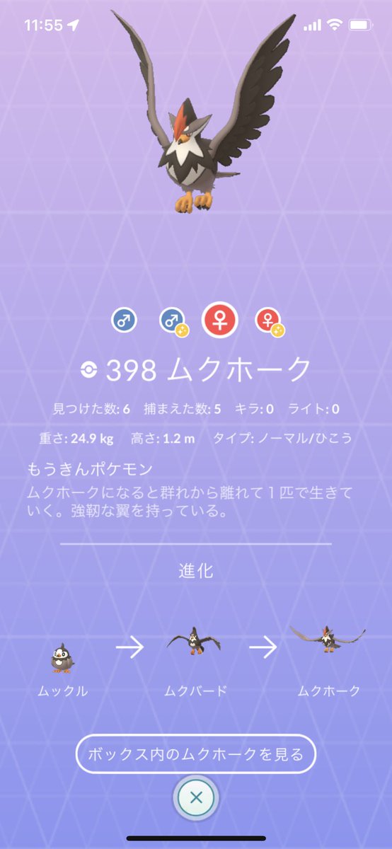 ポケモンgo攻略 Gamewith 図鑑画像募集 昨日色違いが実装された下記ポケモン達の キラではない図鑑画像 を募集します ムックル ムクバード ムクホーク 頂いた画像は記事内にて使用させていただきますのでご了承ください ポケモンgo ポケモンgo攻略 Gamewith 図鑑画像募集 昨日色違いが実装された下記ポケモン達の キラではない図鑑画像 を募集します ムックル ムクバード ムクホーク 頂いた画像は記事内にて使用させていただきますのでご了承ください ポケモンgo