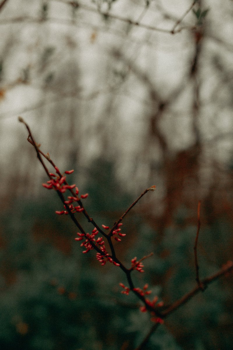 whateverforever tweet media