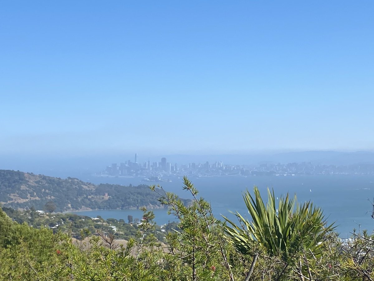 K1STG's tweet photo. Snuck in a quick activation of Tiburon Peninsula (W6/NC-435) this afternoon for a single point. Four 2M contacts with the HT. #SOTA #2MeterSimplex #hamradio https://t.co/qkp7BRP0IF