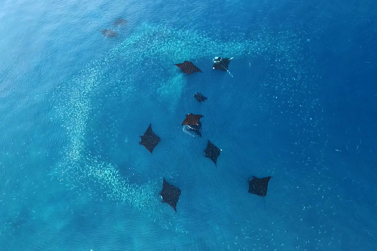 Dr. Rob Perryman tweet media