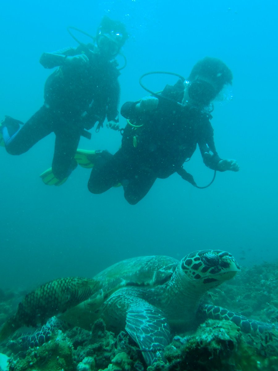 enadive's tweet photo. come and dive with us is Bali https://t.co/HnQv5WaDgS #scuba #scubadiving #scubadivetrip #divetravel #divebali #diveindonesia #padi #padidiver #padiopenwaterdiver #snorkeling https://t.co/ZbcrUfk7Dp