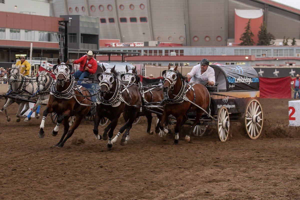 CSchuckwagons's tweet photo. Congratulations to the 2022 @CowboysCalgary Rangeland Derby Winner, Kris Molle! 🎉👏🏻

#CSChuckwagons #Stampede2022 https://t.co/yBAiwVFtxw