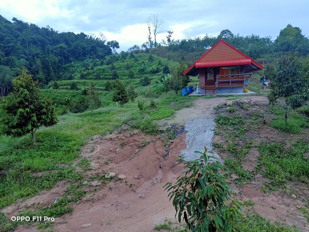 นาสารยินดีต้อนรับคัฟ #สุราษฎร์ธานี #นาสาร