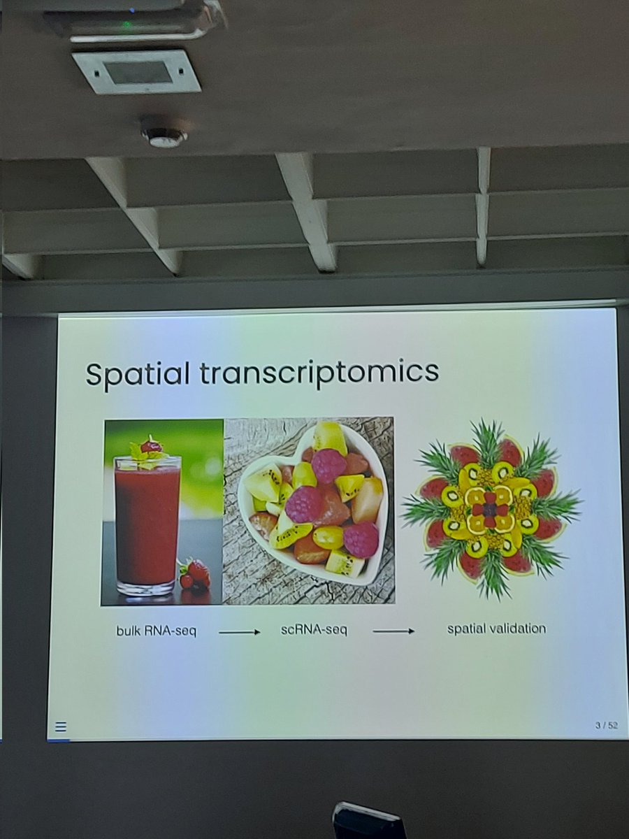 dalia_science's tweet image. Day 2 of @EMBOevents #EMBOrnalocalization is underway 🧬 Daniel Fürth @furthlab convincing us how important spatial information is when it comes to RNA and @ilandavislab couldn&apos;t agree more! @kiourlappou