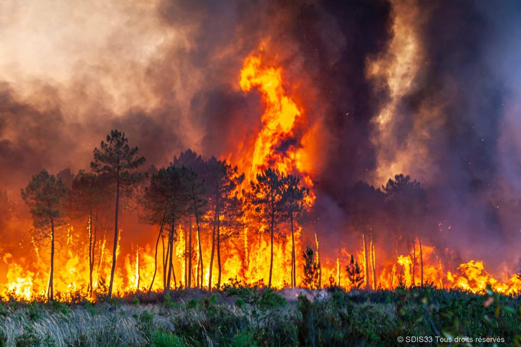 F3Aquitaine's tweet photo. Incendies en Gironde : ce lundi 18 juillet, journée à très hauts risques https://t.co/Rm4bh6ZXRN https://t.co/wyzDOd7hOQ