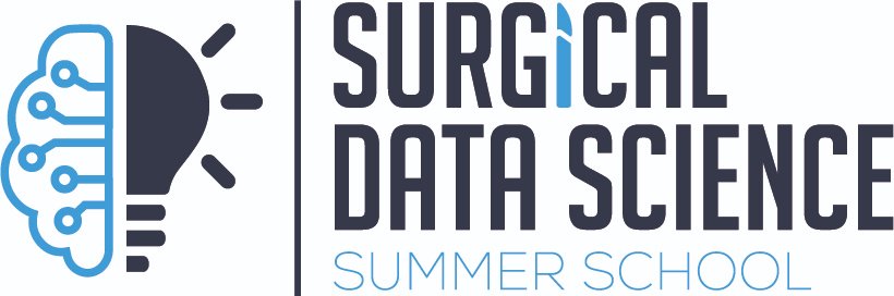 Beyond excited to launch the first Surgical Data Science Summer School, a dream come true thanks to 24 students and an amazing faculty of computer scientists &amp; surgeons from all around the world! #edu4SDS